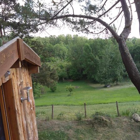 La Cabane En Bois Villemur-sur-Tarn Esterno foto