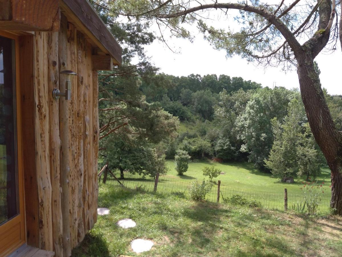 La Cabane En Bois Villemur-sur-Tarn Esterno foto