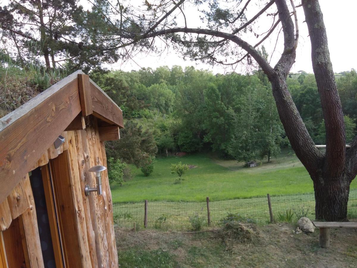 La Cabane En Bois Villemur-sur-Tarn Esterno foto