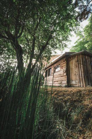 La Cabane En Bois Villemur-sur-Tarn Esterno foto